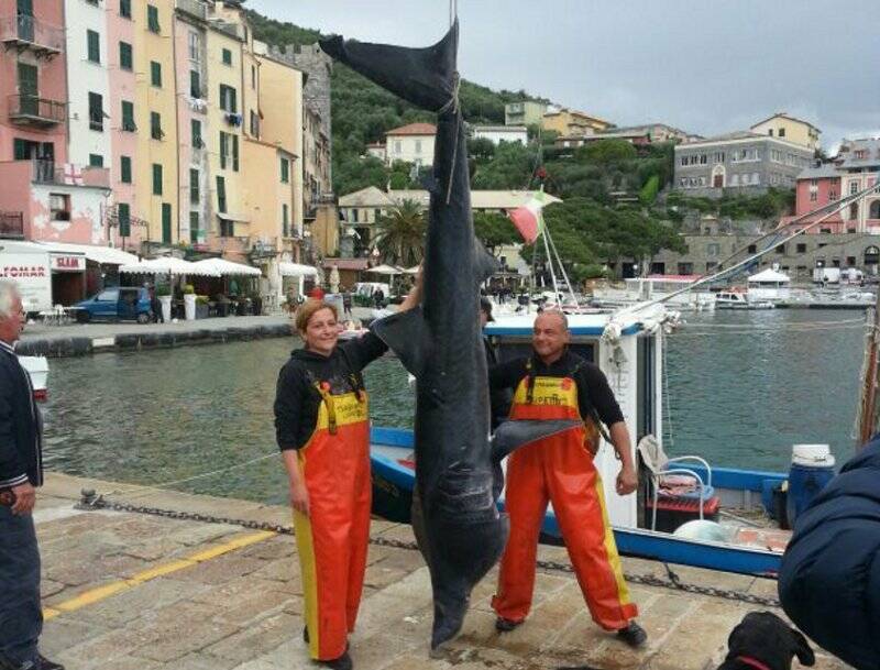 Maurizio e Daniela Marasà con lo squalo elefante