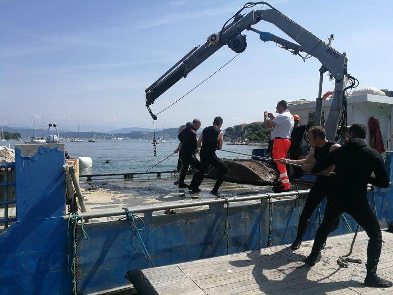 Mare pulito a Le Grazie, 27esima edizione