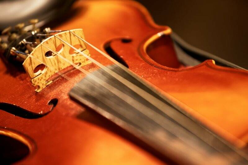 Violino