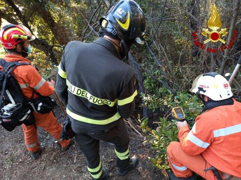 Vigili del fuoco e volontari in azione su un incendio