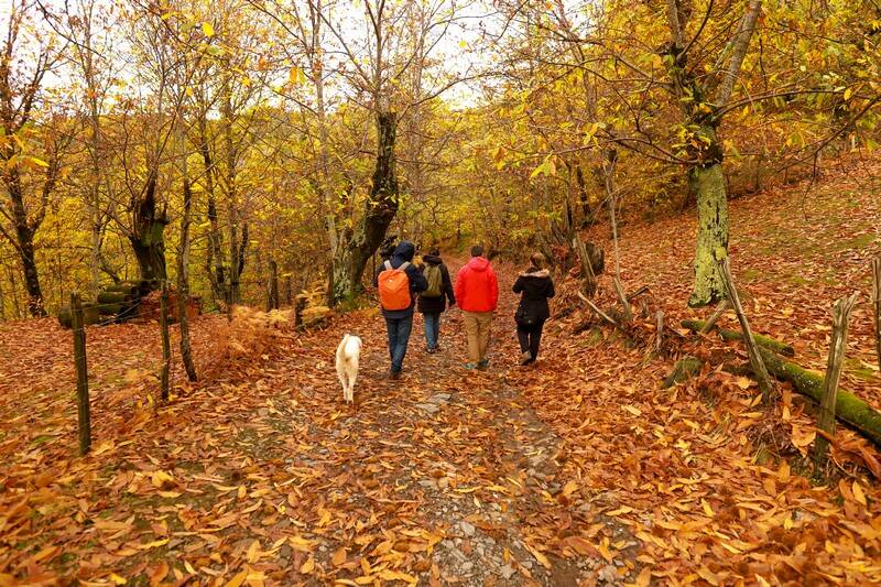 Giornalisti, blogger, influencer e operatori turistici alla scoperta della Lunigiana