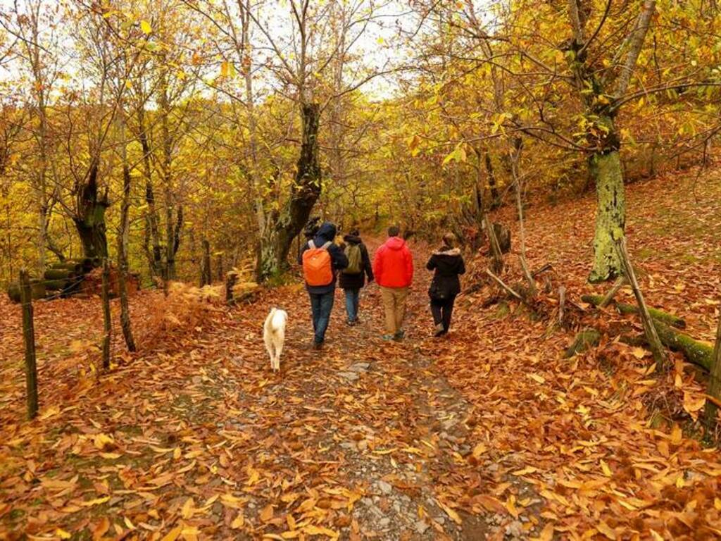 Giornalisti, blogger, influencer e operatori turistici alla scoperta della Lunigiana