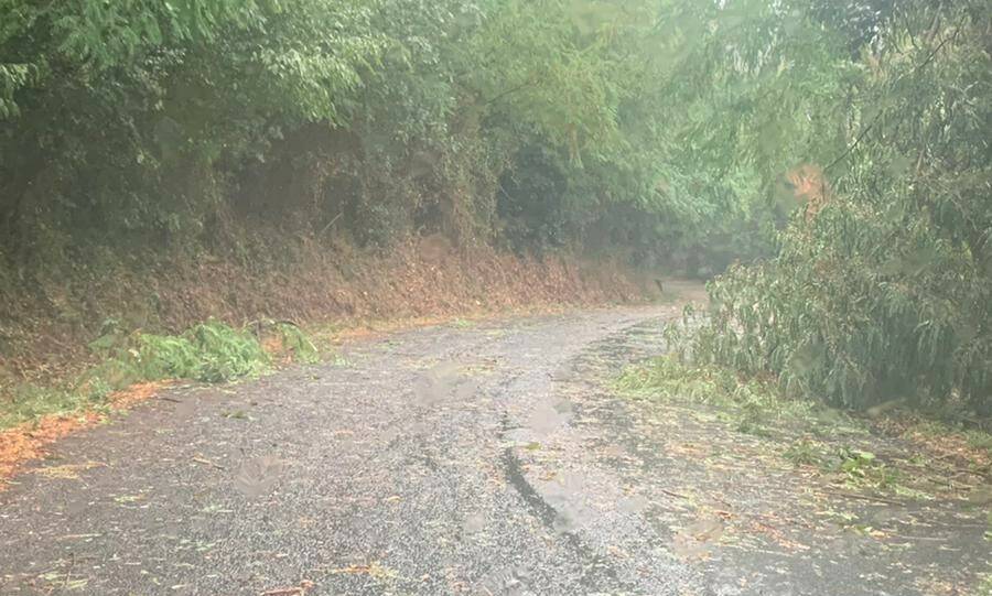 La strada per Pitelli colpita da pioggia e vento