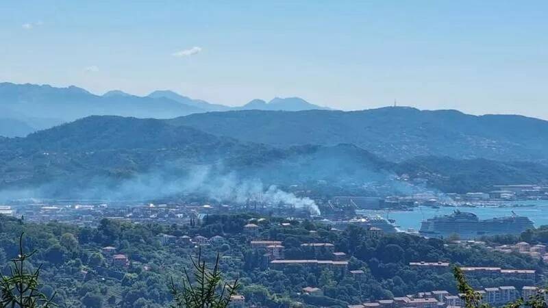 Emissioni navi da crociere, immagine diffusa da Speziaviadalcarbone