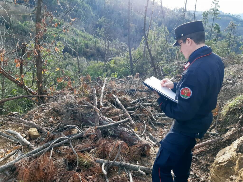 Carabinieri forestali