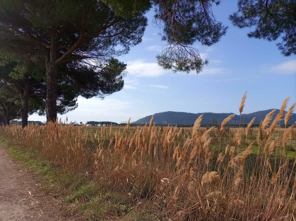 Tenuta di Marinella