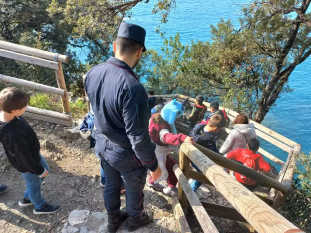 Maxi taglio al bosco per vendere la legna da ardere: denunciati