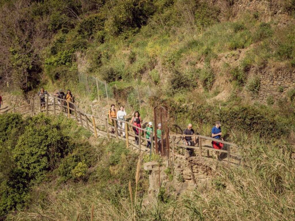 Cinque Terre, primo giorno positivo per il senso unico sul Sentiero Azzurro 