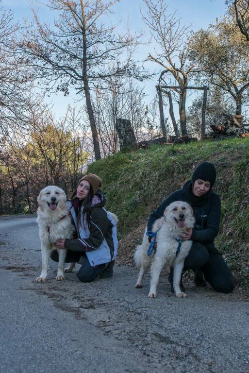 Flavia e Livio