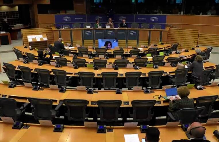 L'audizione da remoto della sindaca Sisti, immagine dal video della seduta sul sito del Parlamento europeo