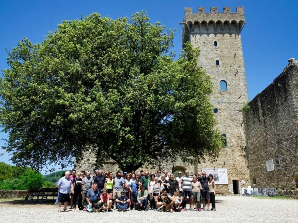 Elenira Mendes a Castelnuovo