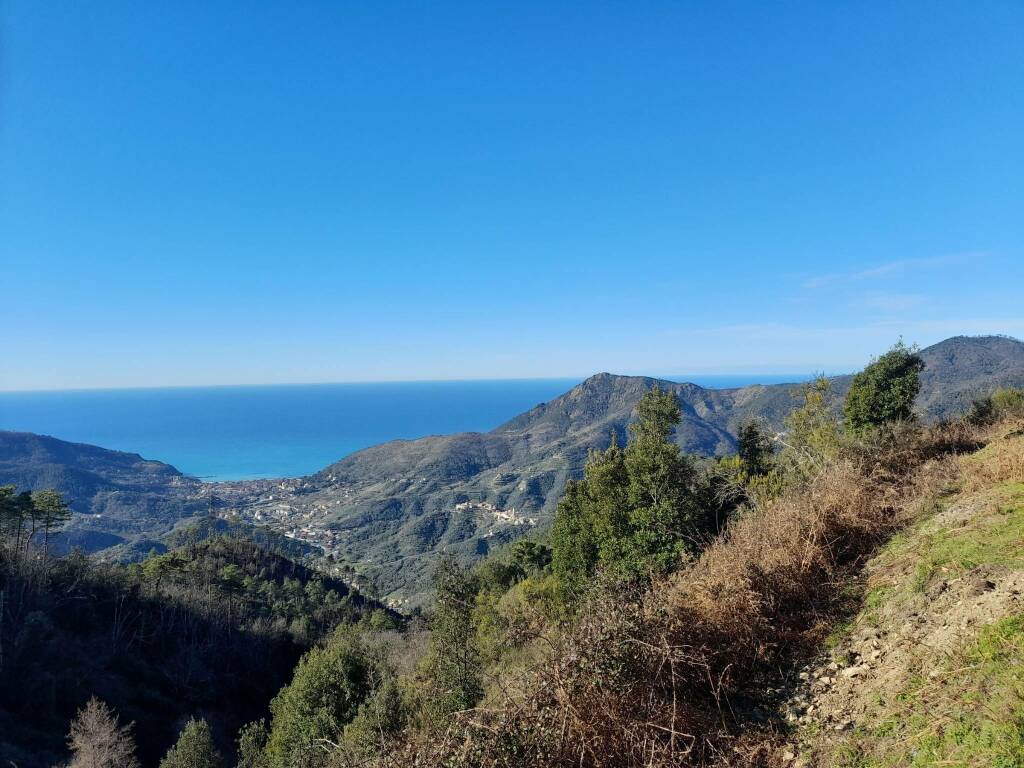 Levanto vista dal Monte Bardellone