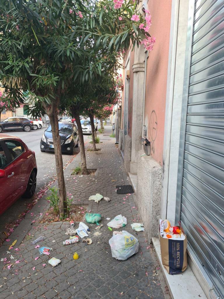 Cassonetti Via Milano e Via Napoli