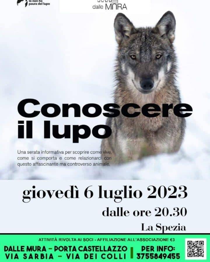 Generico luglio 2023