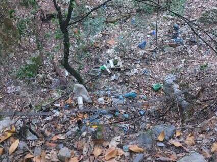 La discarica nel bosco