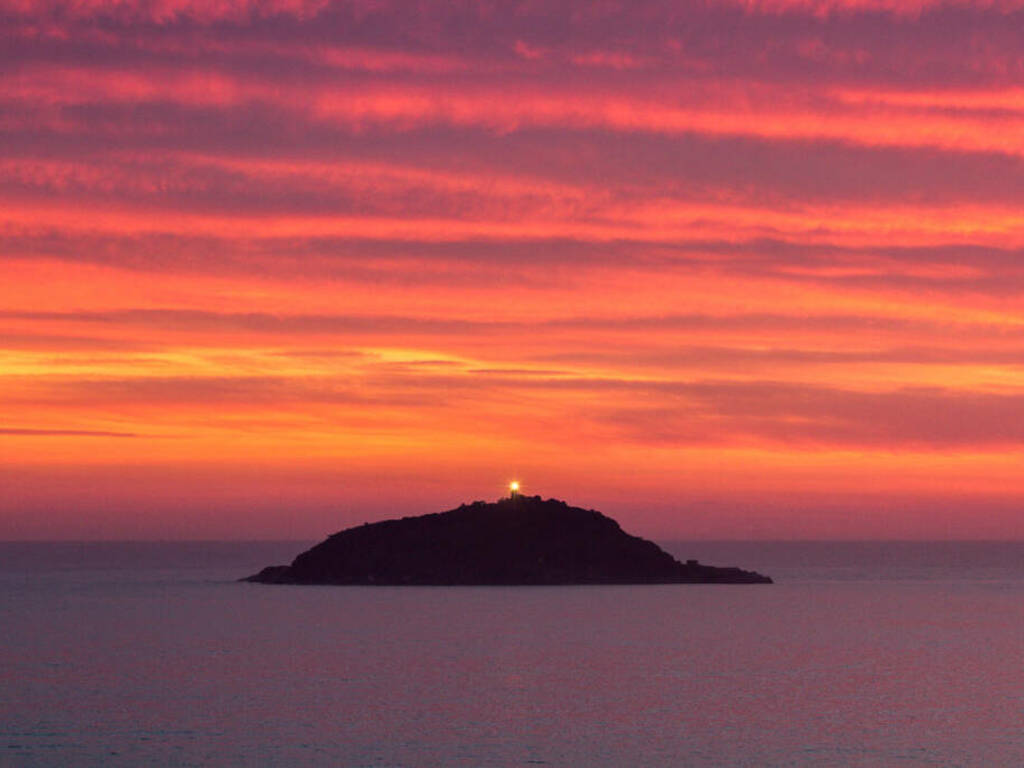 Isola del Tino (ph. Massimo Zanardi)