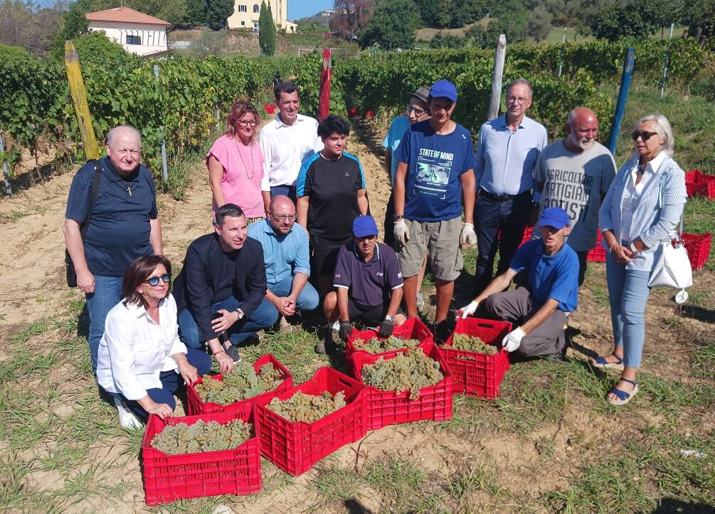 Vino agricoltura sociale vendemmia