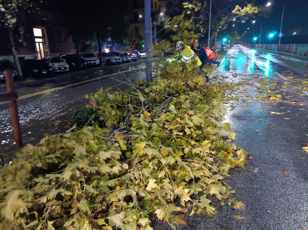 Albero caduto in Viale Amendola