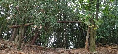 Palestra nel verde del Parodi