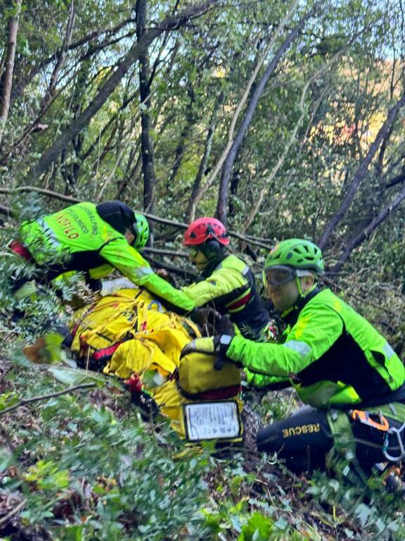 Guardiaparco per controllare le zone di caccia: Tante segnalazioni di  spari vicino alle case - Città della Spezia