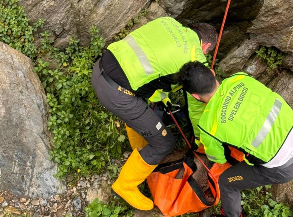 Capriolo salvato dal Soccorso alpino