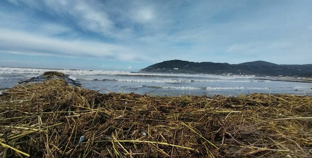 Detriti sul litorale di Marinella