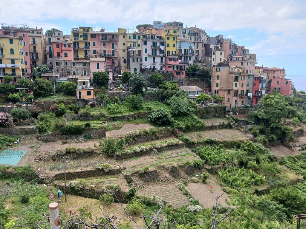 Corniglia panorama cinque terre