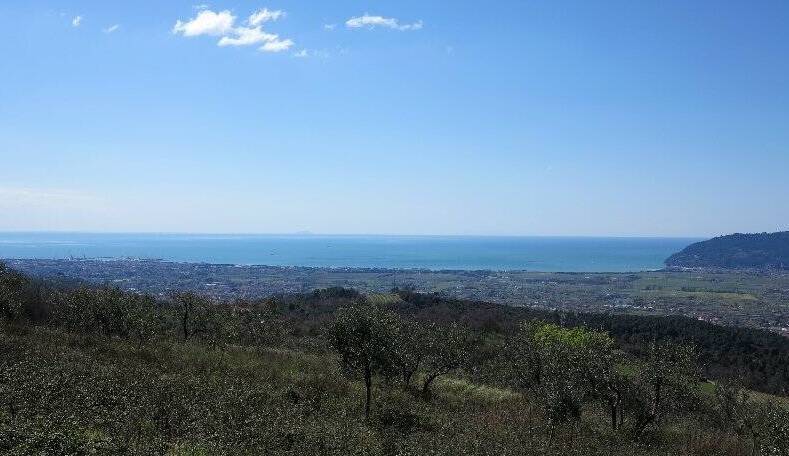 Il mare visto da Vallecchia