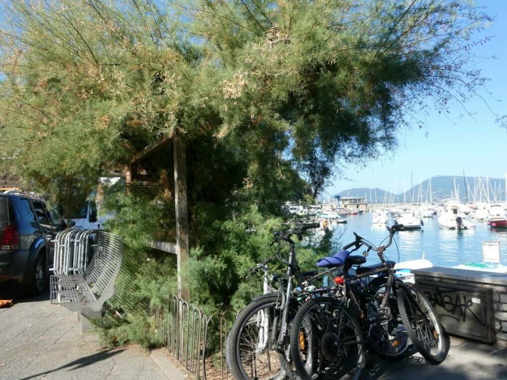 Tamerice di Lerici