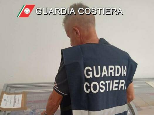 Controlli ittici Guardia Costiera