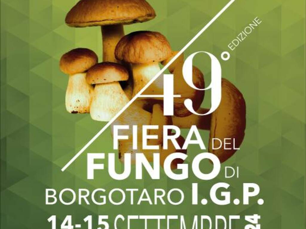 Fiera del Fungo porcino Igp di Borgotaro