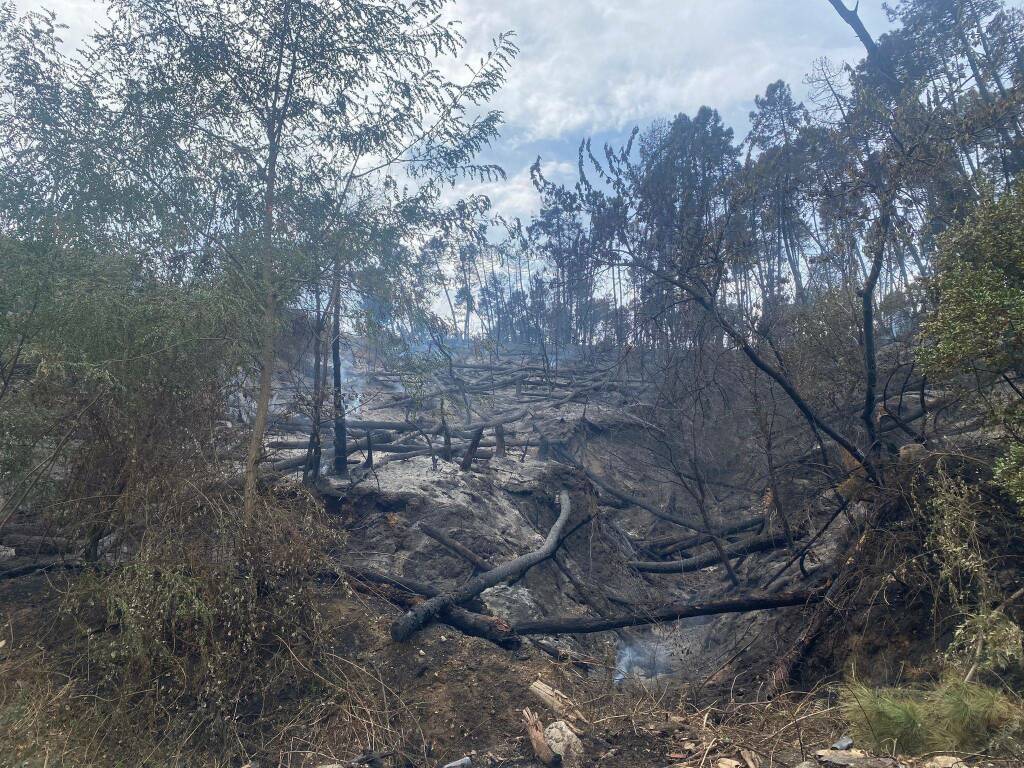 Incendio a Pietralba, collina di Pitelli 