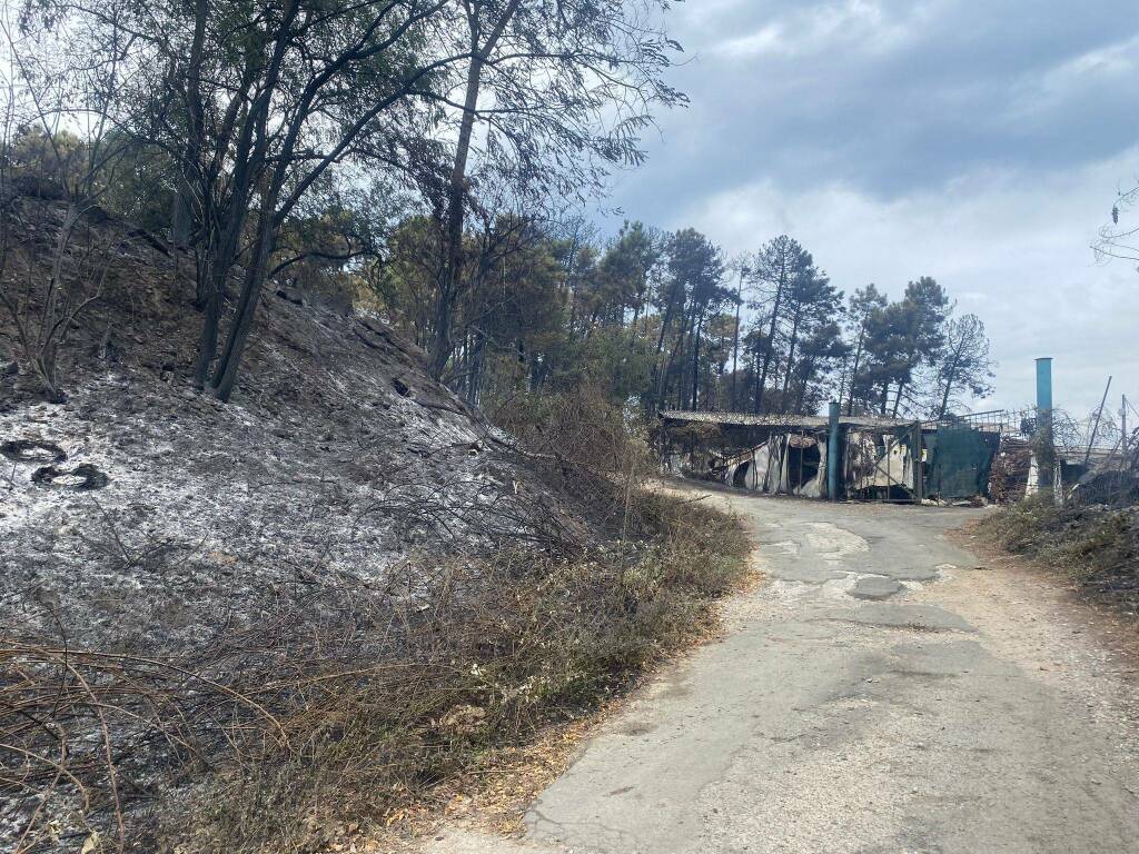 Incendio a Pietralba, collina di Pitelli 