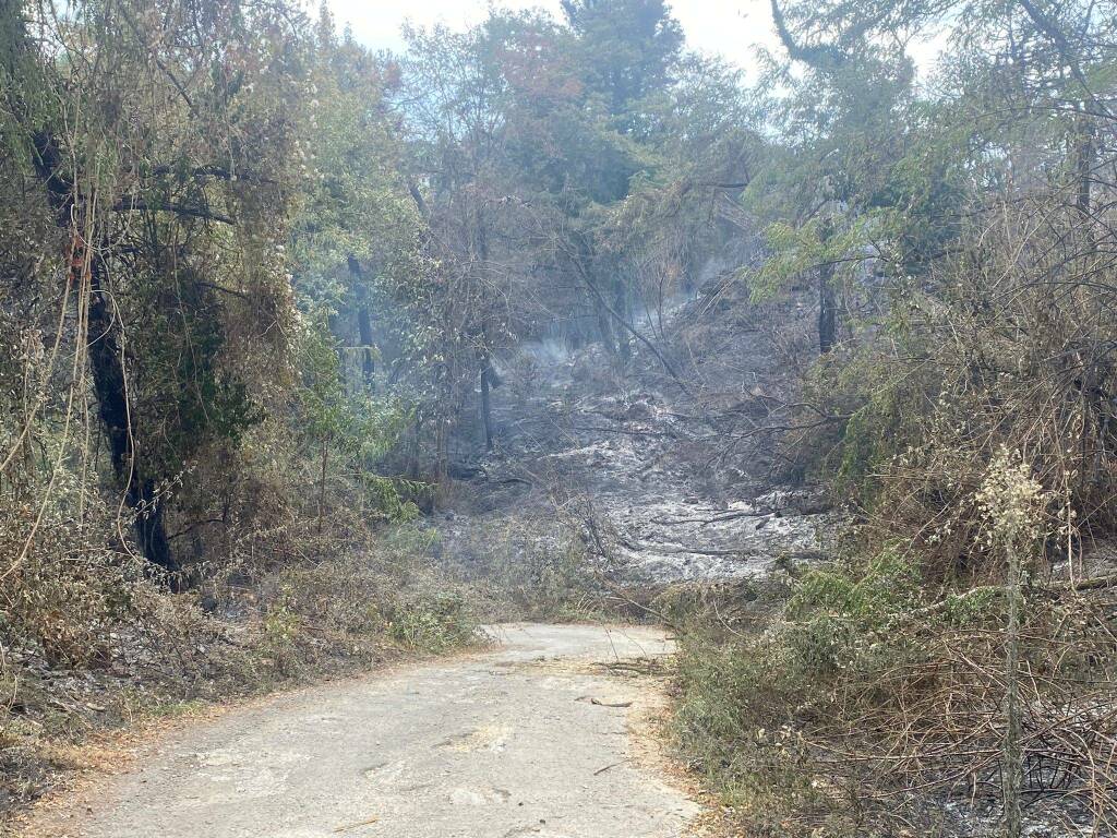 Incendio a Pietralba, collina di Pitelli 