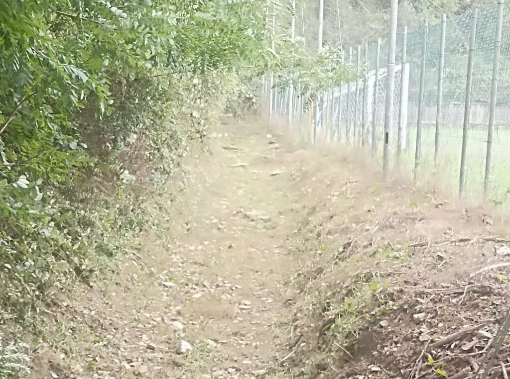 Pulizia fossi e canali ad Ameglia